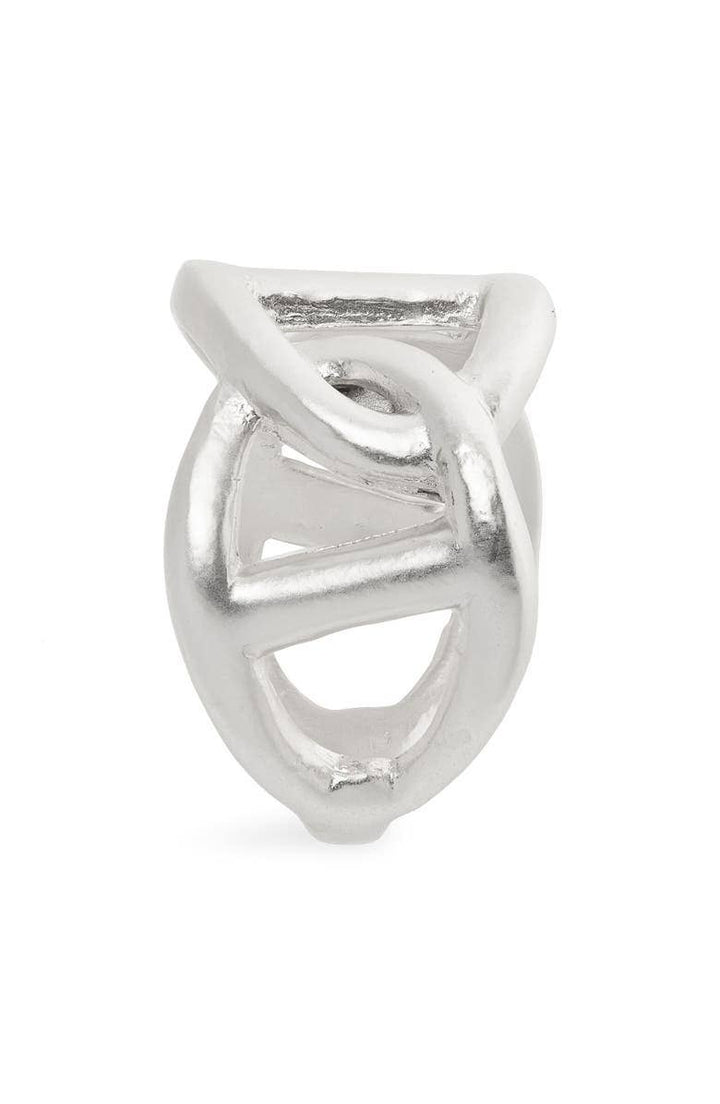 a silver ring on a white background